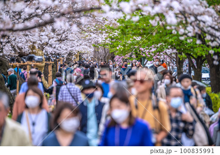 日本の東京都市景観 マスク妄想からの解放！…千鳥ヶ淵は多くの人出…屋外での感染はない＝3月22日 100835991