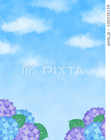 晴れた空と雲の下の青と紫のアジサイと葉のイラスト・フレーム　縦 100836239