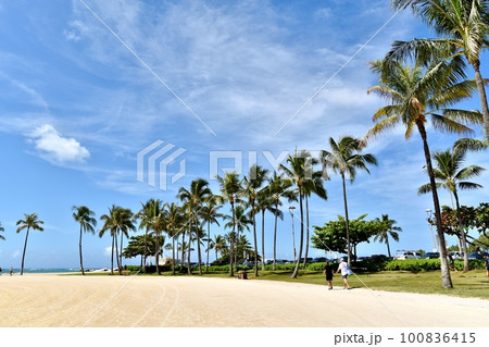 ハワイの休日 ハワイの休日 100836415