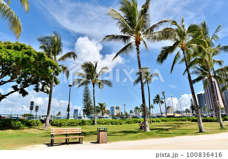 ハワイの休日 100836416