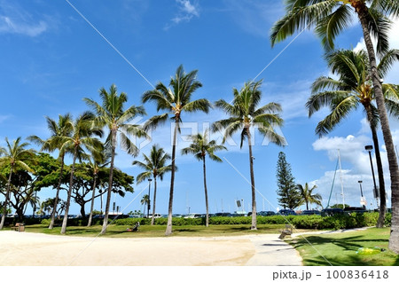 ハワイの休日 100836418