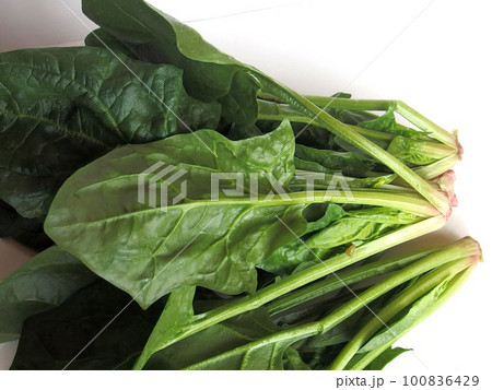 新鮮なほうれん草　野菜　食材　葉物野菜　栄養 100836429