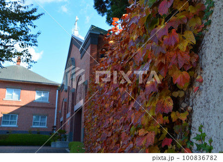 カトリック修道会～箱館トラピスチヌ修道院 100836782