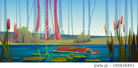 Green swamp with floating log, cattail near lake 100836802