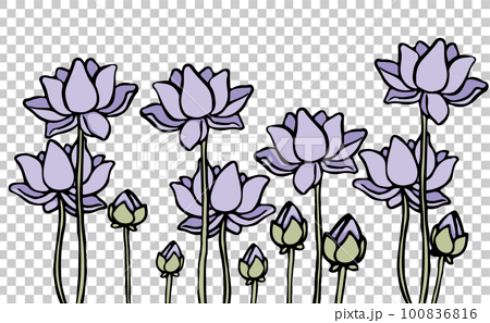 purple lotus flower clip art