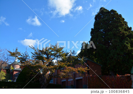 カトリック修道会～箱館トラピスチヌ修道院 100836845