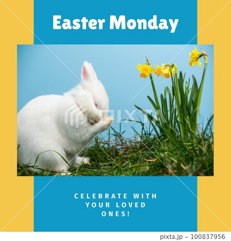 Image of easter monday text over rabbit onの写真素材
