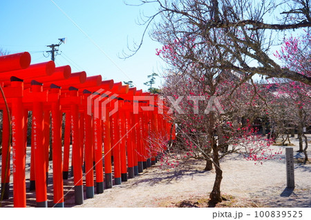 綱敷天満宮の朱の連鳥居 100839525