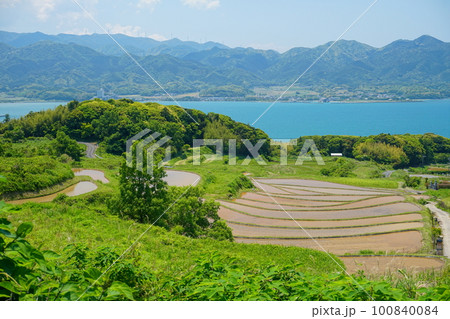 山口県油谷湾の青い海と水張を終えた棚田の風景 山口県油谷湾の青い海と水張を終えた棚田の風景 100840084