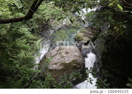付知峡 岐阜県中津川 付知峡 岐阜県中津川 100840125