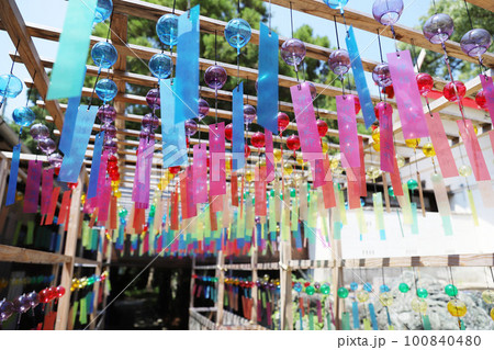 別小江神社 愛知県名古屋市北区 別小江神社 愛知県名古屋市北区 100840480