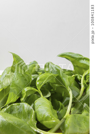 fresh basil 100841183