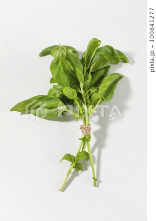 fresh basil fresh basil 100841277