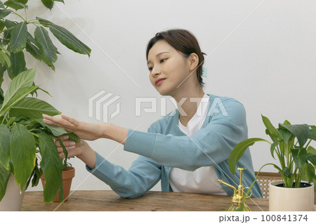 happy single life of korean woman growing plants at home 100841374