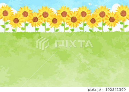 爽やかな草原とヒマワリ畑の背景イラスト 100841390