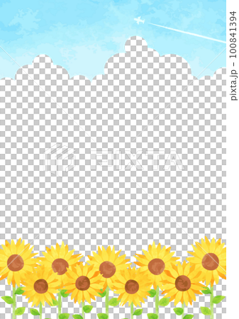 Landscape illustration of a simple and refreshing sunflower field 100841394