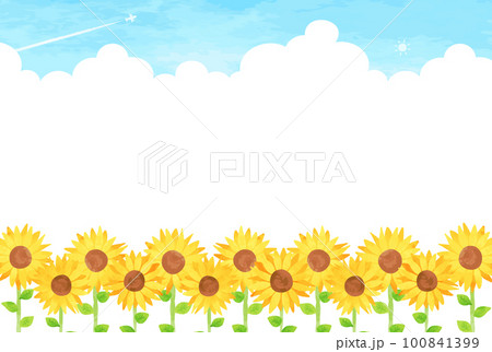 夏空とヒマワリ畑の風景イラスト 100841399