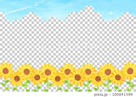 夏天的天空和向日葵田景觀圖 100841399