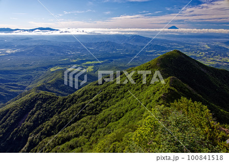 八ヶ岳連峰・権現岳の登りから見る三ツ頭と富士山 100841518