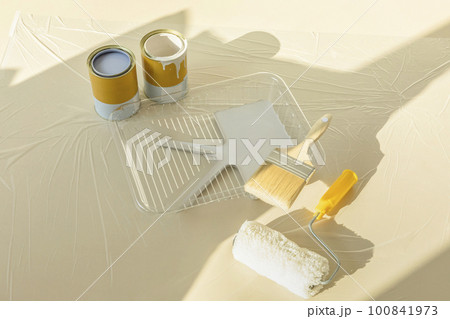 DIY interior hand motion, closeup_paint and paint tools 100841973