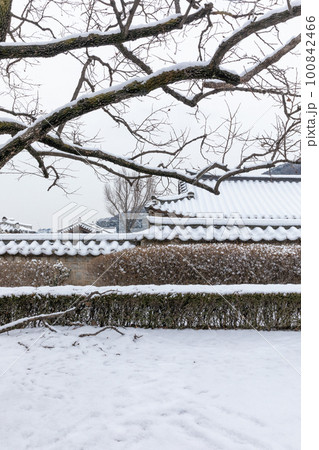 beautiful snowing winter scenery in Suwon Hwaseong Haenggung in Korea beautiful snowing winter scenery in Suwon Hwaseong Haenggung in Korea 100842466