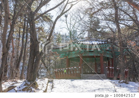 snowy winter landscape snowy winter landscape 100842517