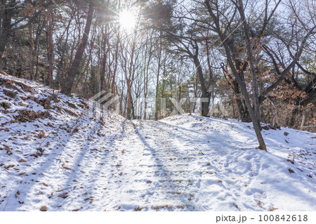 snowy winter landscape 100842618