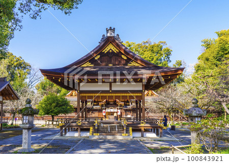 京都 春の平野神社 本殿 拝殿 京都 春の平野神社 本殿 拝殿 100843921