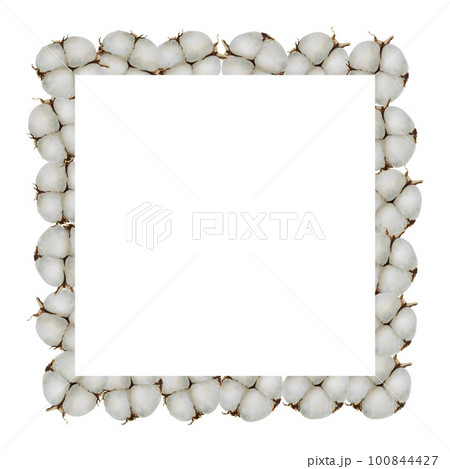 Cotton watercolor frame and logo square shape. Hand painting clipart on an isolated background. Print for wedding invitation, designers, decoration, textile, poster, scrapbooking, card, invitation 100844427