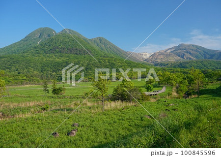 青空を背景にした初夏の長者原タデ湿原とくじゅう連山の風景 青空を背景にした初夏の長者原タデ湿原とくじゅう連山の風景 100845596