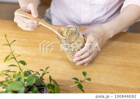 小鳥の餌を掬う女性 小鳥の餌を掬う女性 100846092
