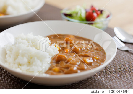 カレーライス カレーライス 100847696