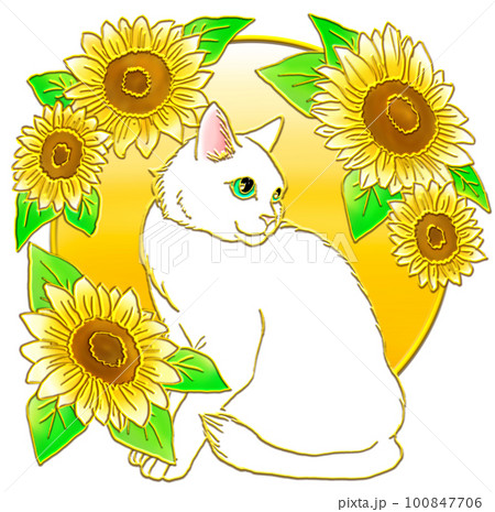 ひまわりに座る白猫_背景金色 100847706