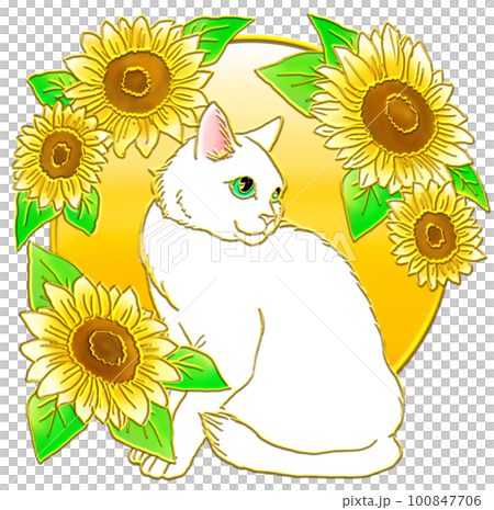 ひまわりに座る白猫_背景金色 100847706