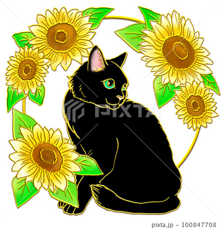 大きなひまわりと座る黒猫 大きなひまわりと座る黒猫 100847708