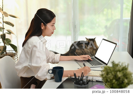 Side view of asian female student looking at laptop screen watching tutorial, lecture or studying online at home Side view of asian female student looking at laptop screen watching tutorial, lecture or studying online at home 100848058