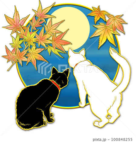 紅葉を見上げる猫_月夜 紅葉を見上げる猫_月夜 100848255