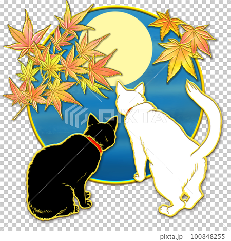 紅葉を見上げる猫_月夜 紅葉を見上げる猫_月夜 100848255