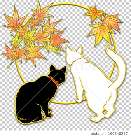 イラスト原画 「見上げる猫」 092a 見上げる猫の横顔 | 下絵工房カルトーネ
