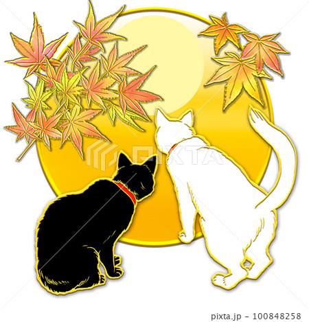 紅葉を見上げる猫_夕焼け 100848258
