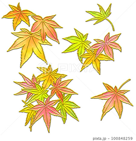 紅葉したカエデの葉のイラスト 100848259