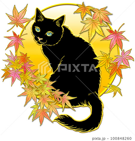 紅葉を見上げる猫 紅葉を見上げる猫 100848260