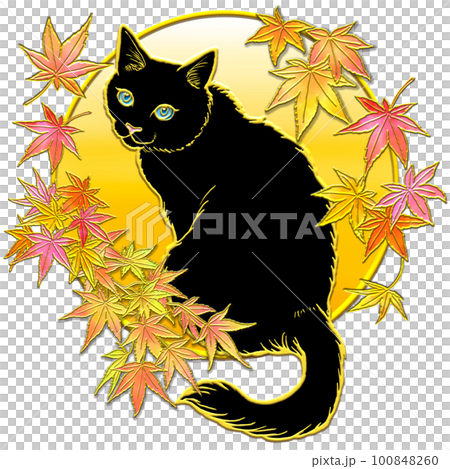 紅葉を見上げる猫 紅葉を見上げる猫 100848260