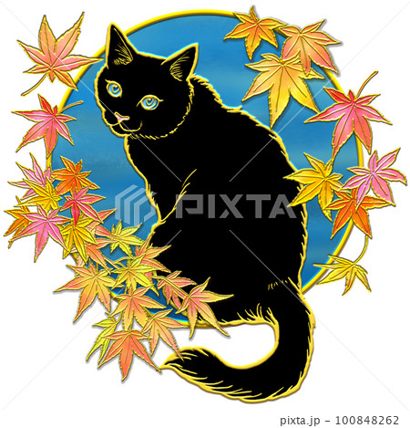 紅葉を見上げる猫_黒猫_背景空色 紅葉を見上げる猫_黒猫_背景空色 100848262