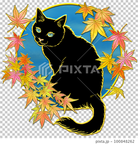 紅葉を見上げる猫_黒猫_背景空色 紅葉を見上げる猫_黒猫_背景空色 100848262