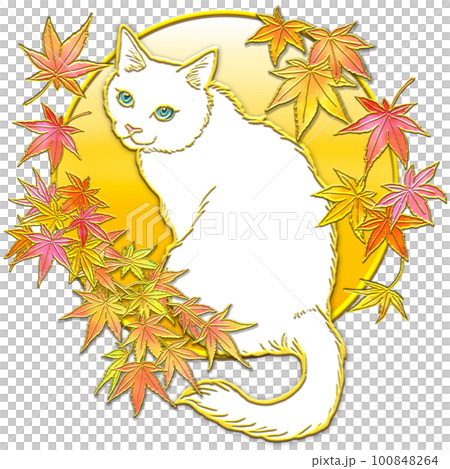 仰望秋葉的貓_白貓_背景金 100848264