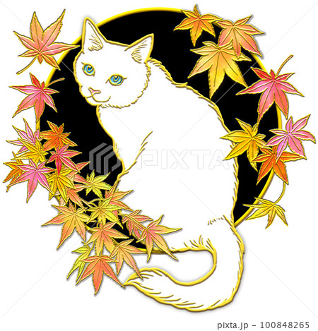 紅葉を見上げる猫_白猫_背景黒色 100848265