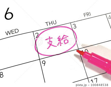 支給のスケジュール 100848538