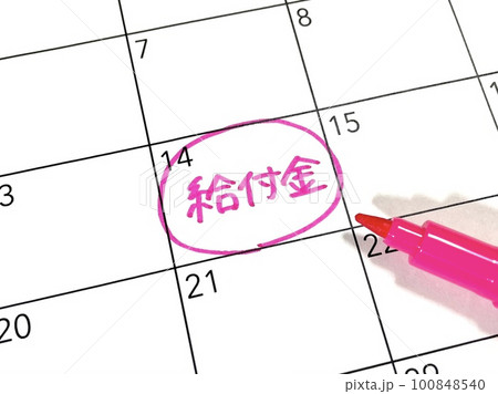 給付金のスケジュール 100848540