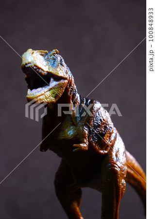 獰猛な肉食恐竜のティラノザウルス 100848933